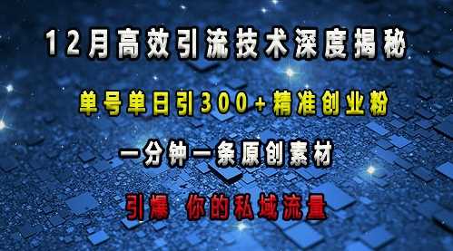 最新高效引流技术深度揭秘 ,单号单日引300+精准创业粉,一分钟一条原创素材,引爆你的私域流量-解忧云网络