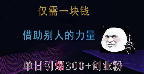 仅需一块钱,借助别人的力量,单日引爆300+创业粉、兼职粉【揭秘】-解忧云网络