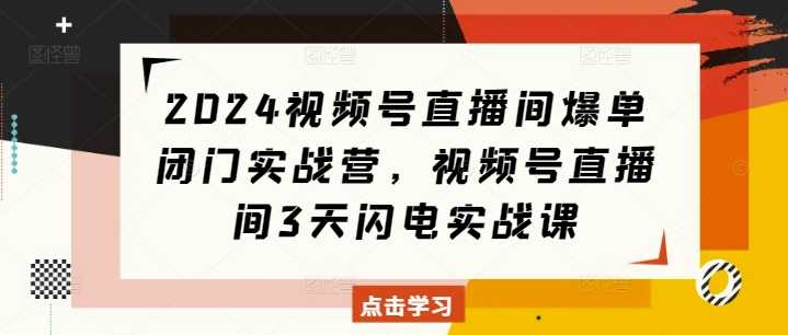 2024视频号直播间爆单闭门实战营,视频号直播间3天闪电实战课-解忧云网络
