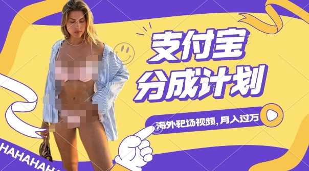 利用海外靶场射击视频,挣支付宝分成收益,轻松月入过W【揭秘】-解忧云网络