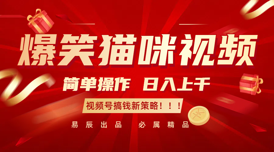 爆笑猫咪视频:简单操作,日入过千,视频号搞钱新策略!-解忧云网络