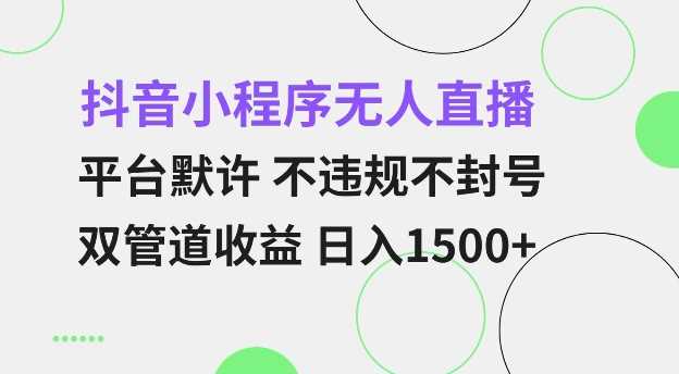 抖音小程序无人直播 平台默许 不违规不封号 双管道收益 日入多张 小白也能轻松操作【仅揭秘】-解忧云网络