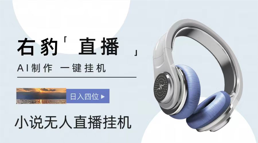 右豹小说无人直播挂机吸金项目，简单易行收益稳定， 月入1000+-解忧云网络