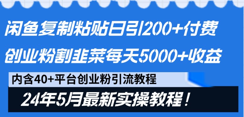 闲鱼复制粘贴日引200+付费创业粉，24年5月最新方法！割韭菜日稳定5000+收益-解忧云网络