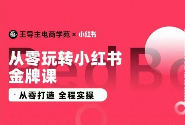 王导主·小红书电商运营实操课，​从零打造  全程实操-解忧云网络