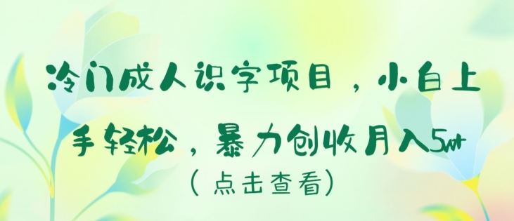 冷门成人识字项目，小白上手轻松，暴力创收月入5w+【揭秘】-解忧云网络