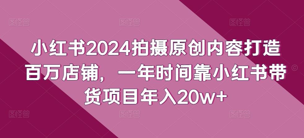 小红书2024拍摄原创内容打造百万店铺，一年时间靠小红书带货项目年入20w+-解忧云网络
