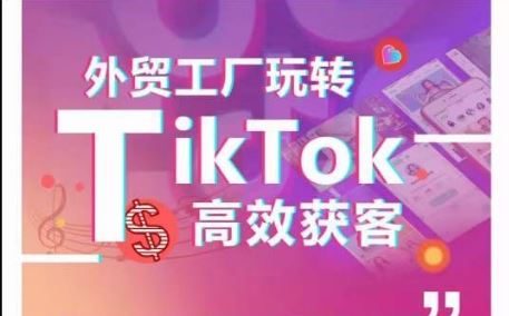外贸工厂玩转TikTok高效获客，多种引流方式与账号定位技巧，拆解爆款短视频打造成功案例-解忧云网络