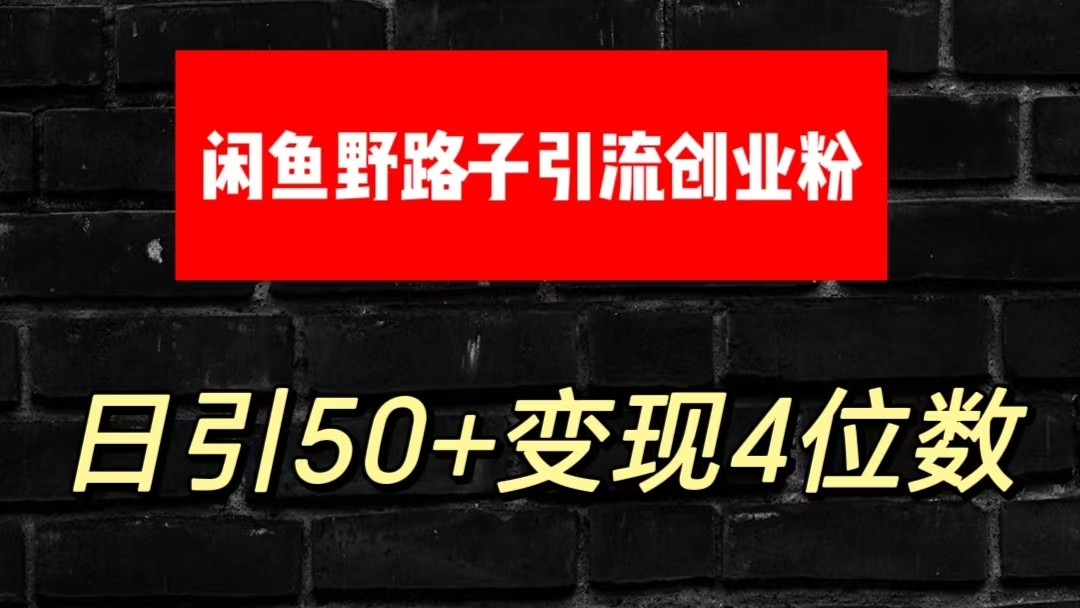 大眼闲鱼野路子引流创业粉，日引50+单日变现四位数-解忧云网络