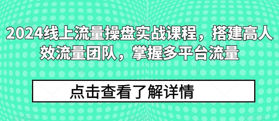 2024线上流量操盘实战课程，搭建高人效流量团队，掌握多平台流量-解忧云网络
