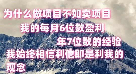 做项目不如卖项目，每月6位数盈利，年7位数经验-解忧云网络