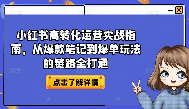 小红书高转化运营实战指南，从爆款笔记到爆单玩法的链路全打通-解忧云网络