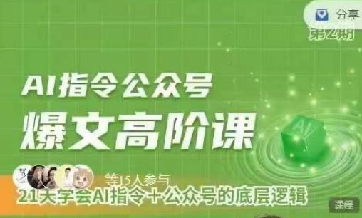 Ai指令公众号高阶课，学会ai指令+公众号的底层逻辑-解忧云网络