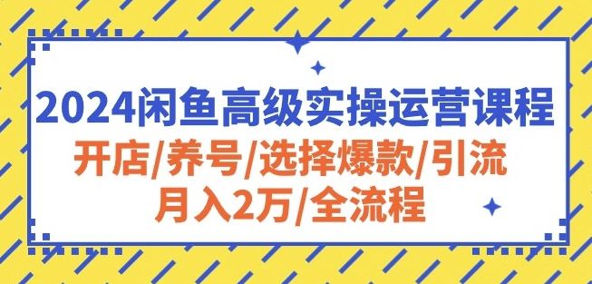 2024闲鱼高级实操运营课程：开店/养号/选择爆款/引流/月入2万/全流程-解忧云网络