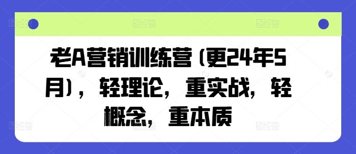 老A营销训练营(更24年5月)，轻理论，重实战，轻概念，重本质-解忧云网络