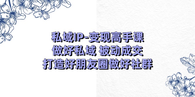 私域IP变现高手课：做好私域被动成交，打造好朋友圈做好社群（18节）-解忧云网络