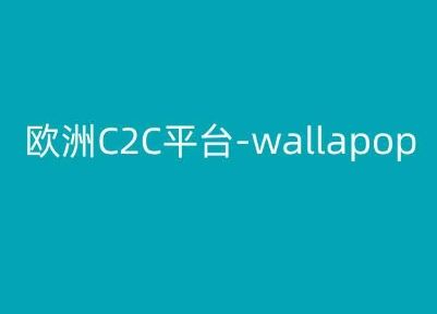 欧洲C2C平台-wallapop-kim跨境电商教程-解忧云网络