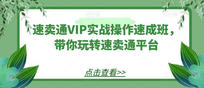 速卖通VIP实战操作速成班，带你玩转速卖通平台-解忧云网络