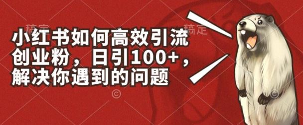小红书如何高效引流创业粉，日引100+，解决你遇到的问题【揭秘】-解忧云网络