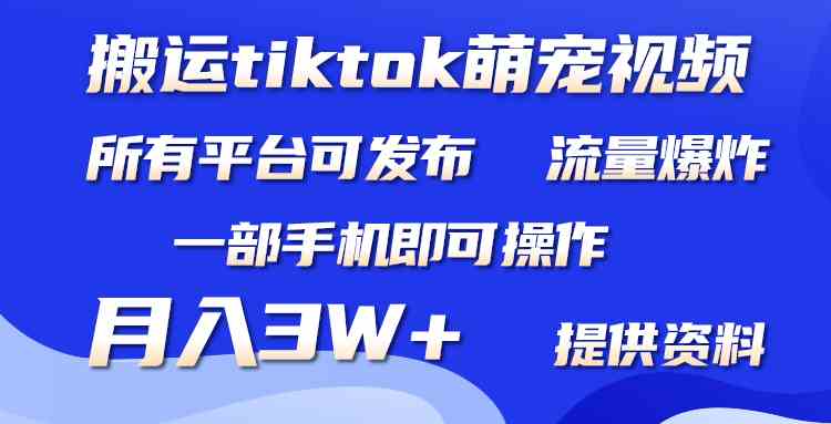 （9618期）搬运Tiktok萌宠类视频，一部手机即可。所有短视频平台均可操作，月入3W+-解忧云网络