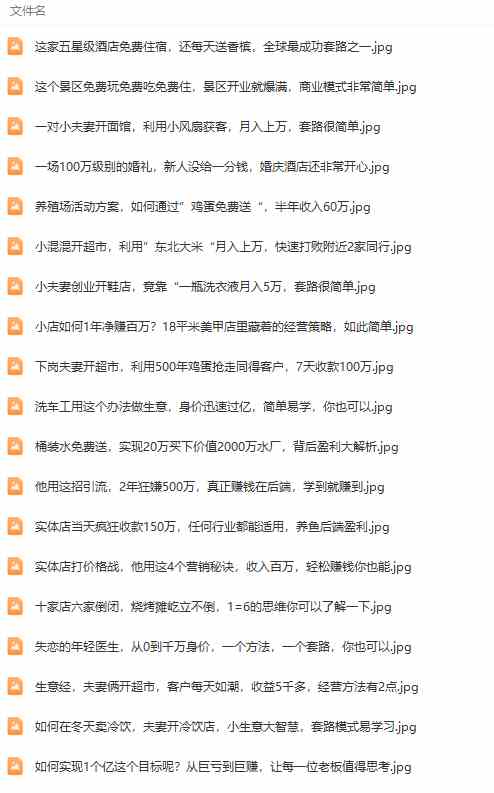 图片[4]-（9607期）真实有效391套商业模式，年入几十到几百万案例解析（电子书+视频+图文）-解忧云网络