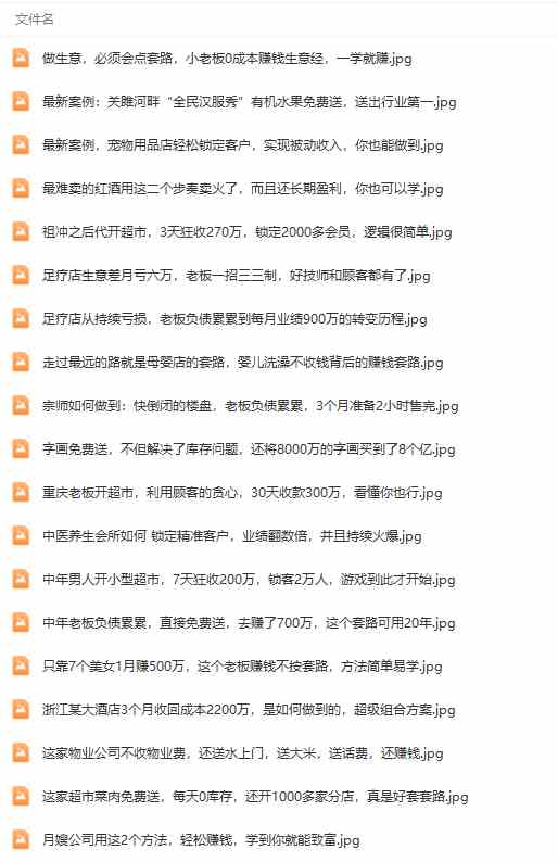 图片[5]-（9607期）真实有效391套商业模式，年入几十到几百万案例解析（电子书+视频+图文）-解忧云网络