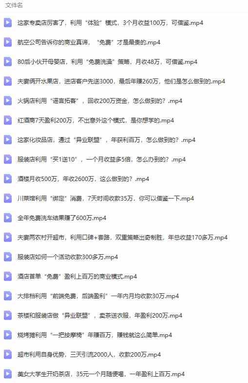 图片[8]-（9607期）真实有效391套商业模式，年入几十到几百万案例解析（电子书+视频+图文）-解忧云网络