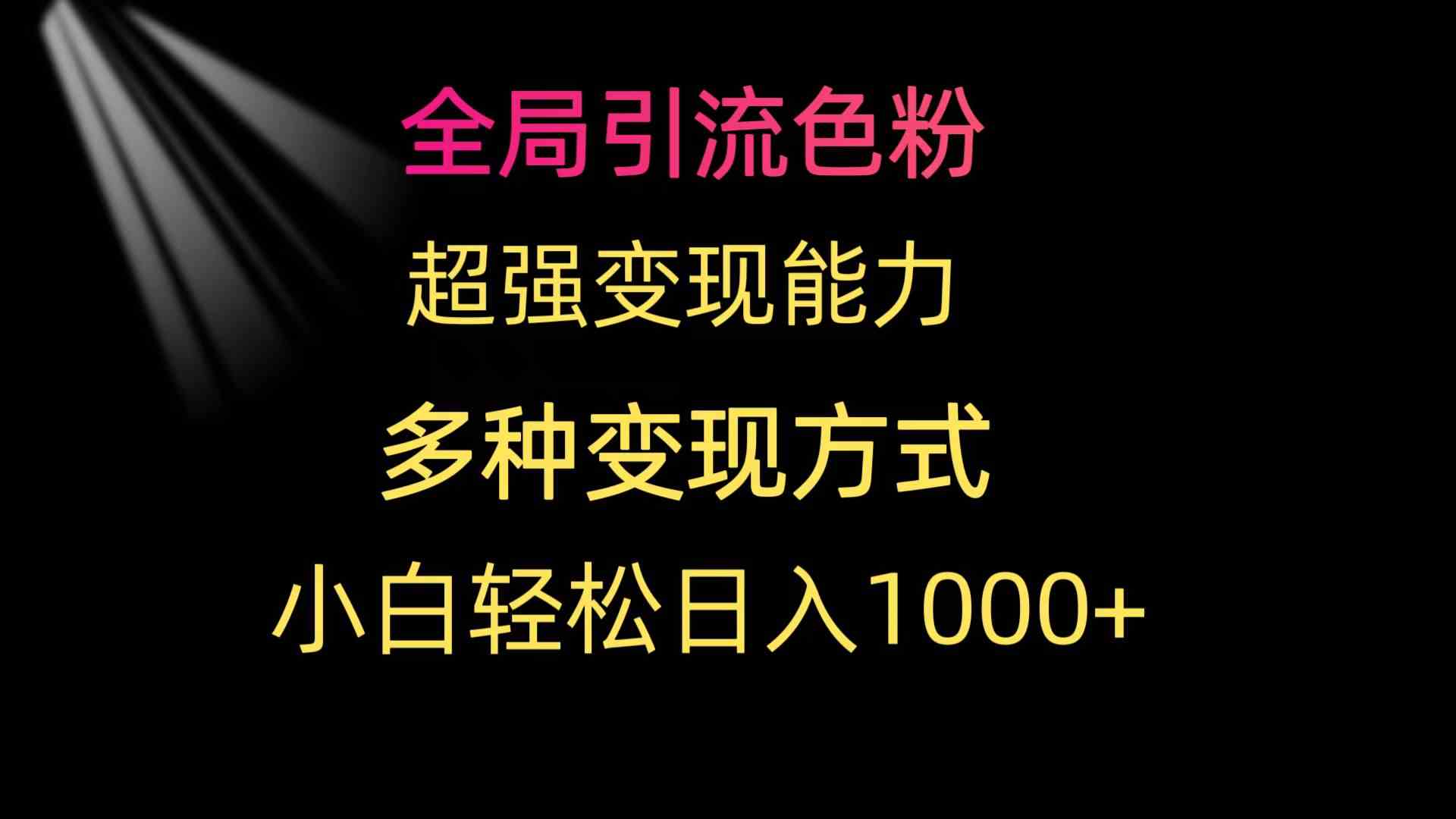 （9680期）全局引流色粉 超强变现能力 多种变现方式 小白轻松日入1000+-解忧云网络