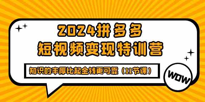 （9817期）2024拼多多短视频变现特训营，知识的丰厚比起金钱更可靠（11节课）-解忧云网络