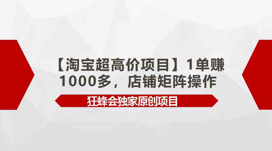 （9849期）【淘宝超高价项目】1单赚1000多，店铺矩阵操作-解忧云网络