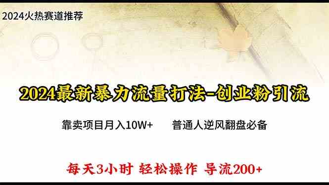 （10151期）2024年最新暴力流量打法，每日导入300+，靠卖项目月入10W+-解忧云网络