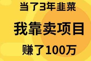 （10149期）当了3年韭菜，我靠卖项目赚了100万-解忧云网络