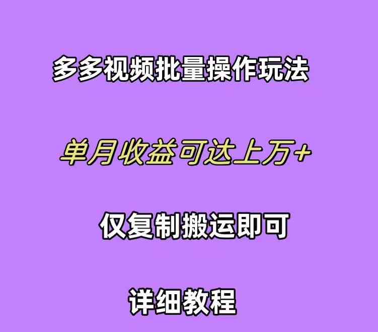 （10029期）拼多多视频带货快速过爆款选品教程 每天轻轻松松赚取三位数佣金 小白必…-解忧云网络