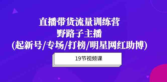 （10016期）直播带货流量特训营，野路子主播(起新号/专场/打榜/明星网红助博)19节课-解忧云网络