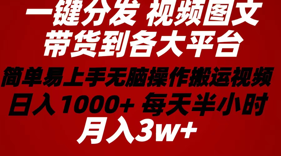 （10667期）2024年 一键分发带货图文视频  简单易上手 无脑赚收益 每天半小时日入1…-解忧云网络