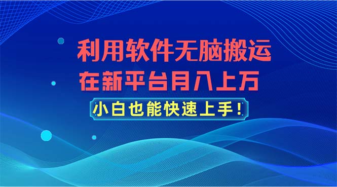 （11078期）利用软件无脑搬运，在新平台月入上万，小白也能快速上手-解忧云网络