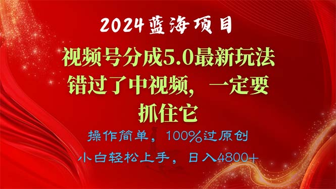 （11032期）2024蓝海项目，视频号分成计划5.0最新玩法，错过了中视频，一定要抓住…-解忧云网络