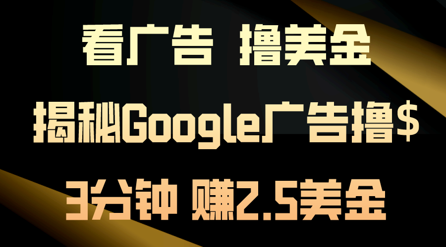 （10912期）看广告，撸美金！3分钟赚2.5美金！日入200美金不是梦！揭秘Google广告…-解忧云网络