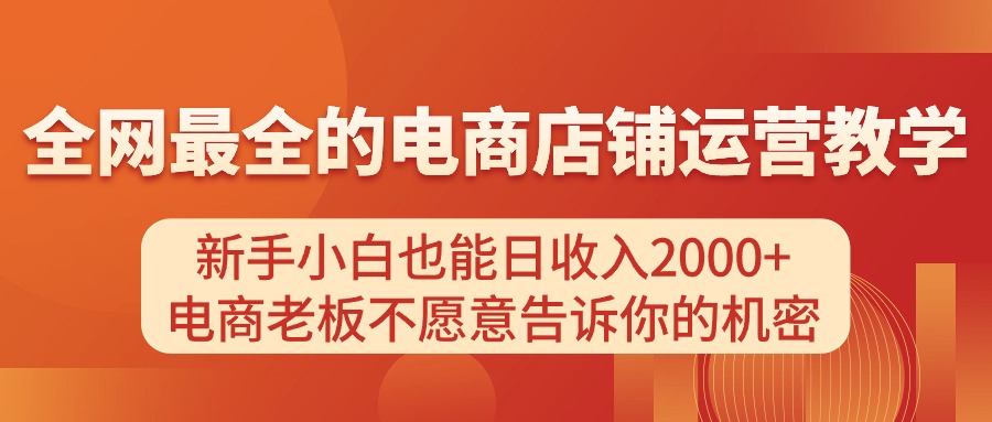 （11266期）电商店铺运营教学，新手小白也能日收入2000+，电商老板不愿意告诉你的机密-解忧云网络