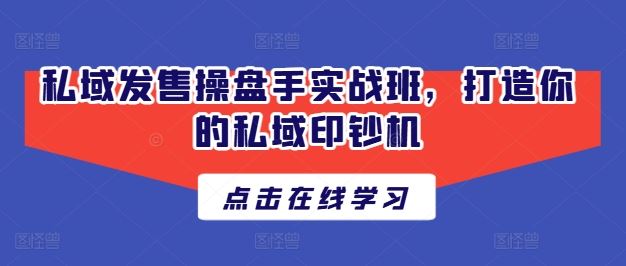 私域发售操盘手实战班，打造你的私域印钞机-解忧云网络