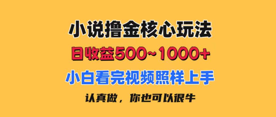 （11461期）小说撸金核心玩法，日收益500-1000+，小白看完照样上手，0成本有手就行-解忧云网络