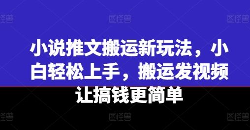 小说推文搬运新玩法，小白轻松上手，搬运发视频让搞钱更简单-解忧云网络