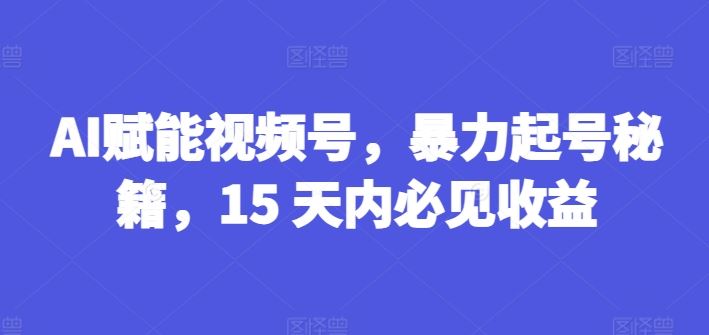 AI赋能视频号，暴力起号秘籍，15 天内必见收益【揭秘】-解忧云网络