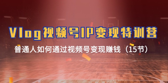 Vlog视频号IP变现特训营，普通人如何通过视频号变现赚钱（15节）-解忧云网络