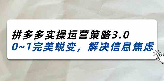 2024-2025拼多多实操运营策略3.0，0~1完美蜕变，解决信息焦虑（38节）-解忧云网络