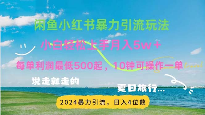 （11650期）2024暑假赚钱项目小红书咸鱼暴力引流，简单无脑操作，每单利润500+，…-解忧云网络