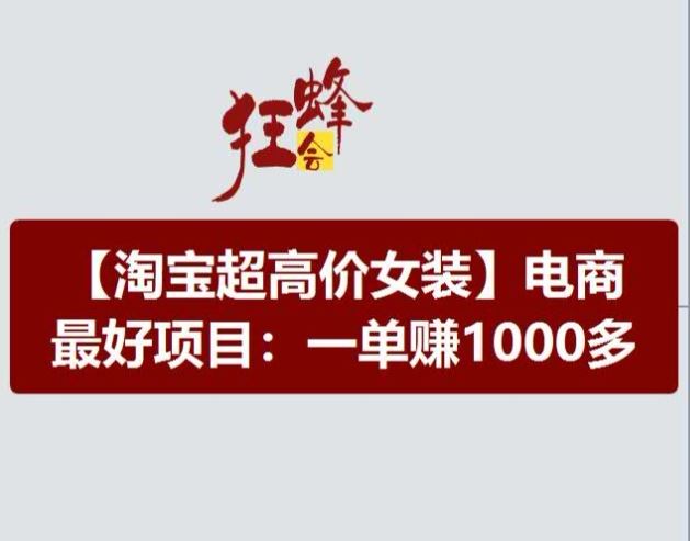 淘宝超高价女装项目，电商最好赛道，一单赚1000多-解忧云网络
