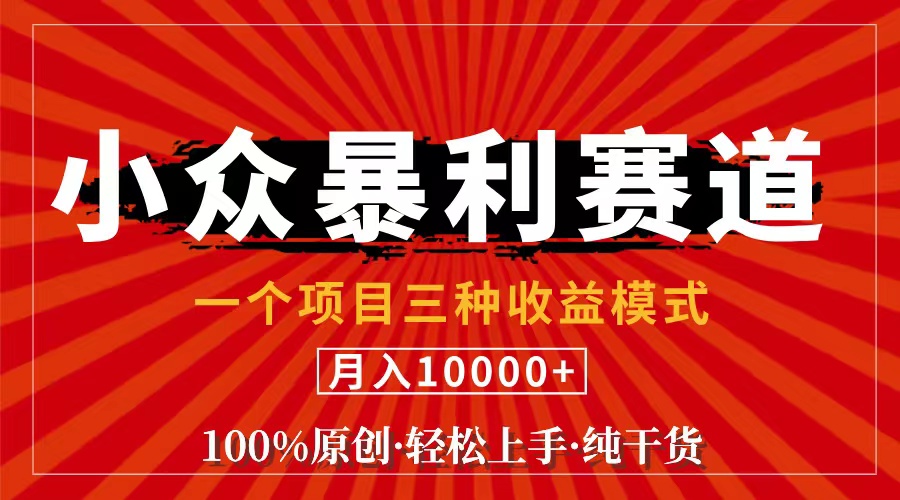 （11695期）视频号【中老年粉深信不疑】小众赛道 100%原创 手把手教学 新号3天收益…-解忧云网络