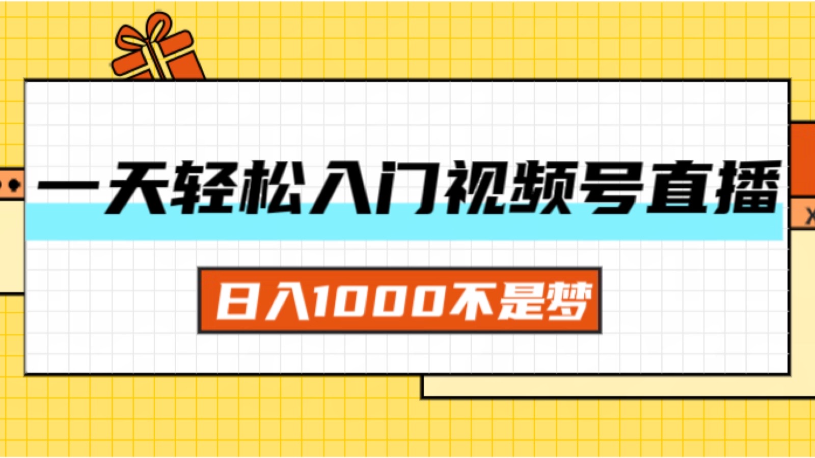 （11906期）一天入门视频号直播带货，日入1000不是梦-解忧云网络