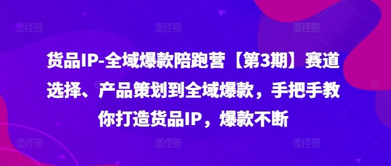 货品IP全域爆款陪跑营【第3期】赛道选择、产品策划到全域爆款，手把手教你打造货品IP，爆款不断-解忧云网络